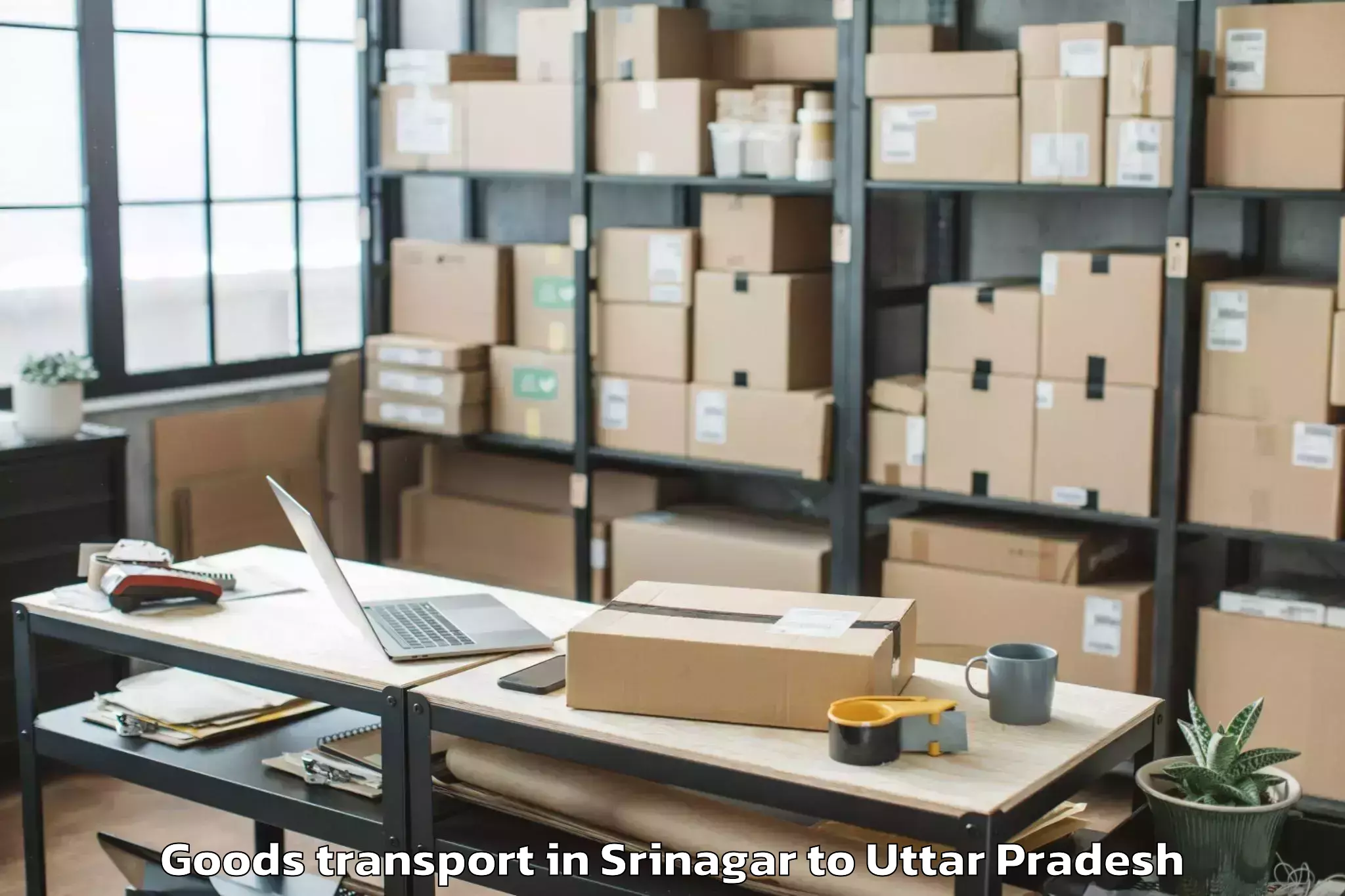 Srinagar to Auraiya Goods Transport Booking